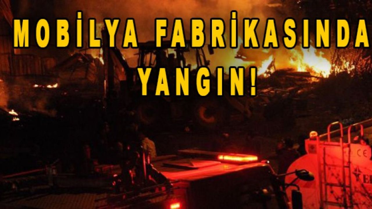 Zonguldak’ın Gökçebey ilçesinde akşam saatlerinde çıkan yangın korkuttu !