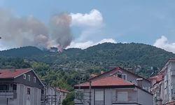 Zonguldak, Gökçebey ve Çaycuma Belediyeleri Devrek'teki Yangın İçin Yardıma Koştu