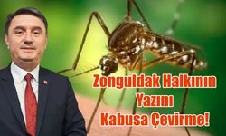 Başkan Erdem'i Uyarıyoruz, Bu Yaz Sivrisinek İstilası Tekrarlanmasın!