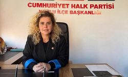 Arslan'dan Kadın Cinayetine Sert Tepki