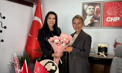 Safiye Karaarslan, CHP Ereğli İlçe Başkanlığında