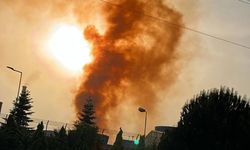 "Erdemir’deki Turuncu Duman Olayı Sonrası Denetim Yapılmadı mı?”