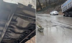 Asma'da Dorse Tepkisi