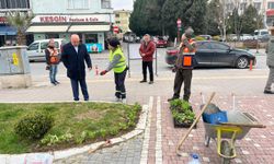 Gökçebey Çiçekleniyor