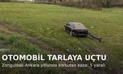 Korkutan Kaza: Otomobil Tarlaya Uçtu, 5 Kişi Yaralandı