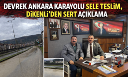 Devrek Ankara Karayolu Sele Teslim