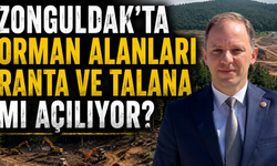 “ZONGULDAK’TA ORMAN ALANLARI RANTA VE TALANA MI AÇILIYOR?”
