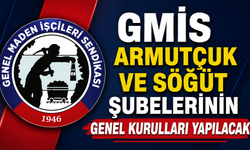 GMİS ARMUTÇUK VE SÖĞÜT ŞUBELERİNİN GENEL KURULLARI YAPILACAK
