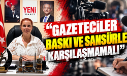 “GAZETECİLER BASKI VE SANSÜRLE KARŞILAŞMAMALI”