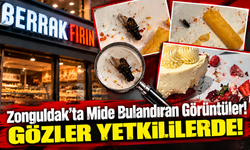 Zonguldak’ta Mide Bulandıran Görüntüler! İddialar Kan Dondurdu!