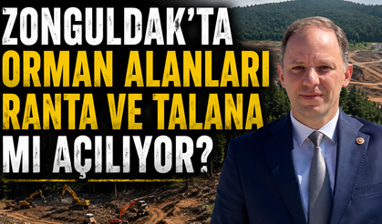 “ZONGULDAK’TA ORMAN ALANLARI RANTA VE TALANA MI AÇILIYOR?”