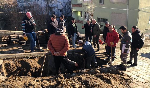 Gökçebey'de Çalışmalar Titizlikle Yürütülüyor