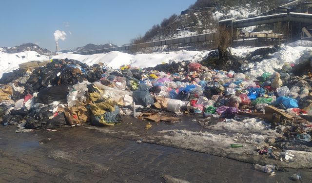 Bu Ne Rezillik? Çatalağzı 'Çöp Belde' Olma Yolunda!