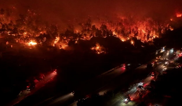 Ormanlarımız neden yine yanıyor Sayın Bakanlar?