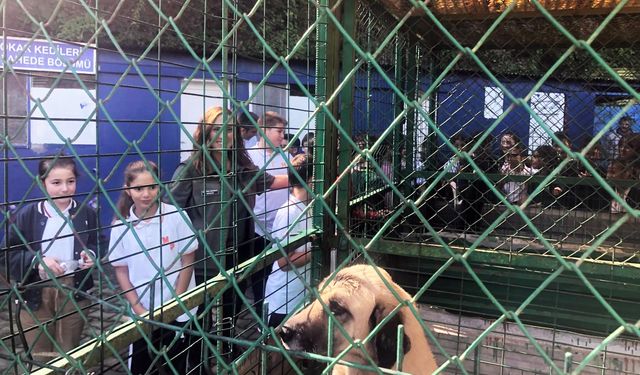 KDZ. EREĞLİ BELEDİYESİ BARINAĞI, MİNİK KALPLERE KAPILARINI AÇTI