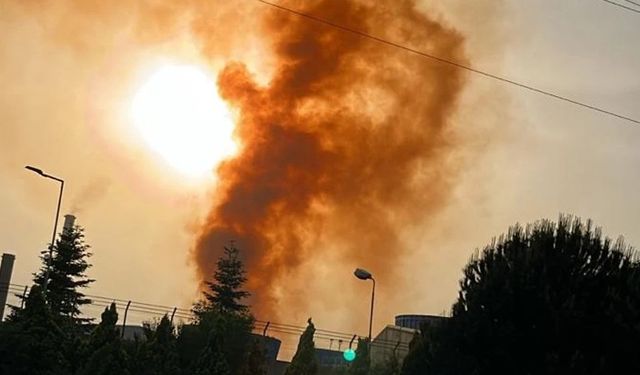 "Erdemir’deki Turuncu Duman Olayı Sonrası Denetim Yapılmadı mı?”