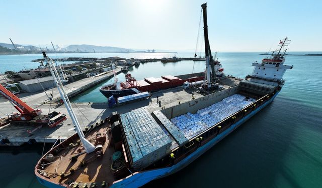 250 milyonluk yatırımla yenilenen Bozhane Limanı, ithalat ve ihracat firmalarına nefes oluyor