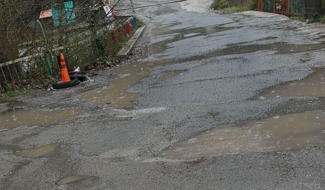 Köstebek Yuvası! Kozlu Belediyesi, İl Özel İdaresi; Bu Yola Bir El Atın...