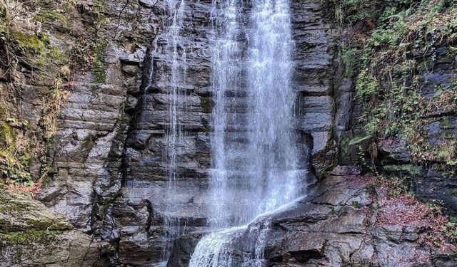 Dört mevsim tek adres: Harmankaya