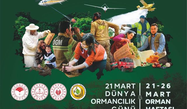 Ağaçlandırmada Avrupa’da 1’inci, dünyada 3’üncü sıradayız