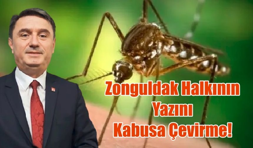 Sivrisinek'i Tanıyorduk da Karasinekle de Erdem Sayesinde Tanıştık