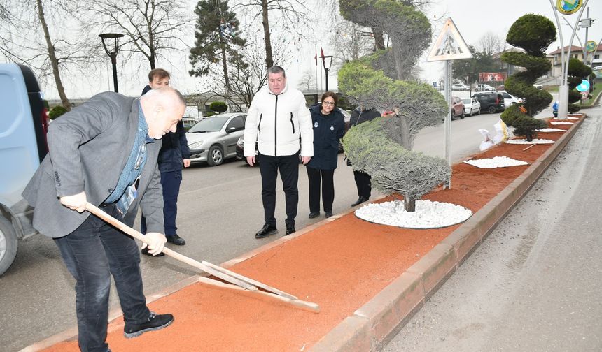 ALAPLI’DA MERKEZİ NOKTALARDA DÜZENLEME