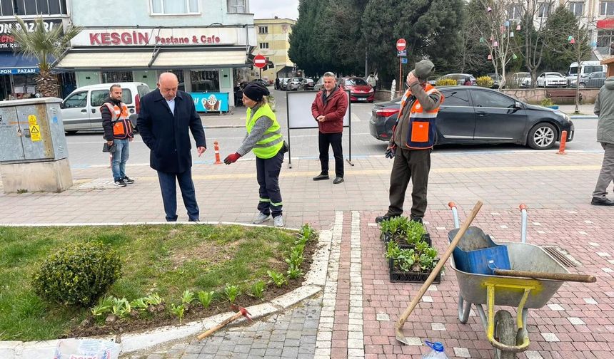 Gökçebey Çiçekleniyor