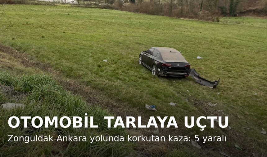 Korkutan Kaza: Otomobil Tarlaya Uçtu, 5 Kişi Yaralandı