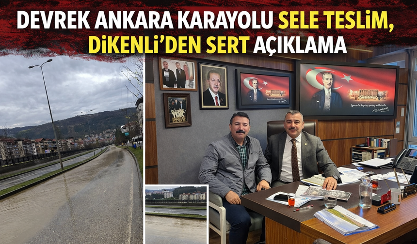 Devrek Ankara Karayolu Sele Teslim
