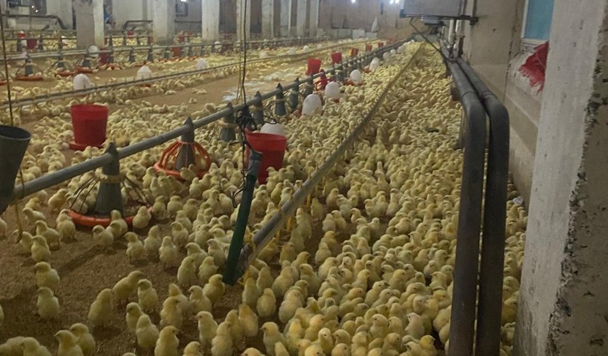 Üretici, Girdi Maliyetleri Altında Eziliyor"