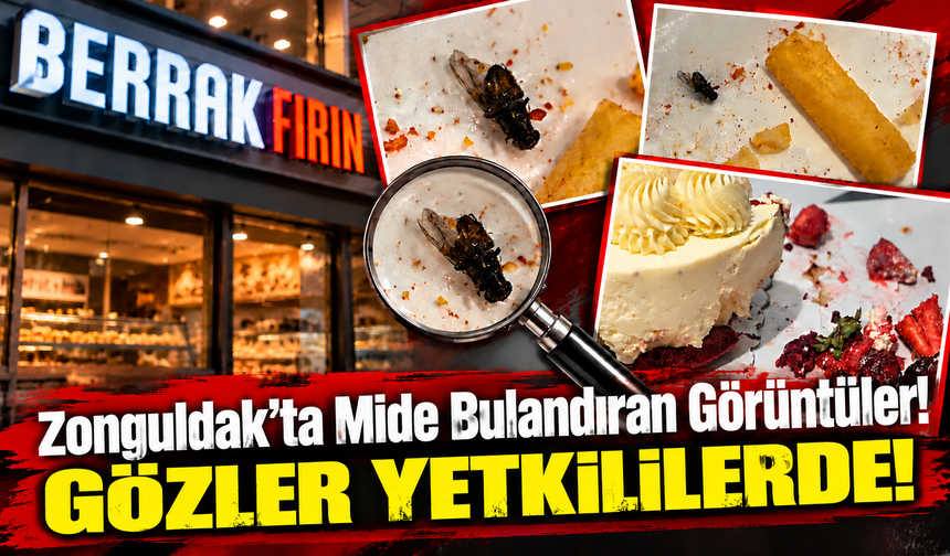 Zonguldak’ta Mide Bulandıran Görüntüler! İddialar Kan Dondurdu!
