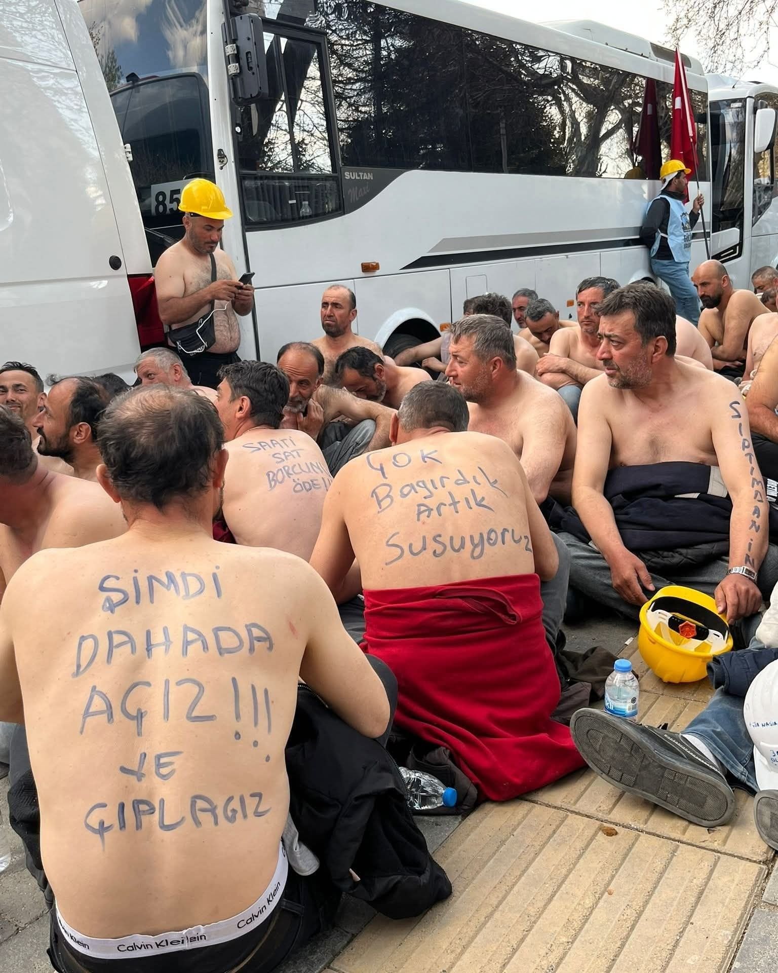 674205313 1739032867060523 6368302300984016902 N-2