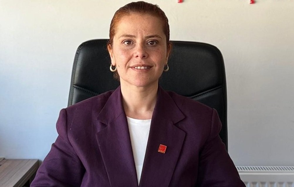 Merve ARSLAN - Kozlu